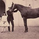 Two children with a horse